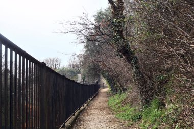 Arka planda tepeler olan bir parkta tırabzanla çevrili bir sonraki bitkinin yolu dardır.
