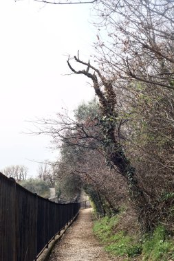 Arka planda tepeler olan bir parkta tırabzanla çevrili bir sonraki bitkinin yolu dardır.