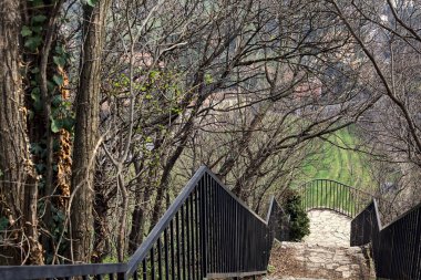 Bulutlu bir günde parktaki parmaklıklı merdiven.