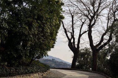 Bulutlu bir günde çıplak ağaçlarla çevrili bir parkın asfalt yolunda eğilin.