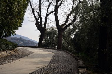 Bulutlu bir günde çıplak ağaçlarla çevrili bir parkın asfalt yolunda eğilin.