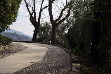 Bulutlu bir günde çıplak ağaçlarla çevrili bir parkın asfalt yolunda eğilin.