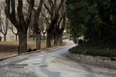 Bulutlu bir günde, parktaki çıplak ağaçlarla dolu patika.