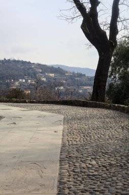 Bulutlu bir günde çıplak ağaçlarla çevrili bir parkın asfalt yolunda eğilin.