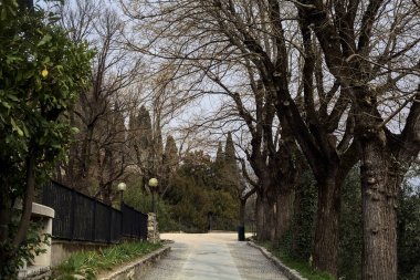 Bulutlu bir günde, parktaki çıplak ağaçlarla dolu patika.