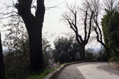 Bulutlu bir günde çıplak ağaçlarla çevrili bir parkın asfalt yolunda eğilin.