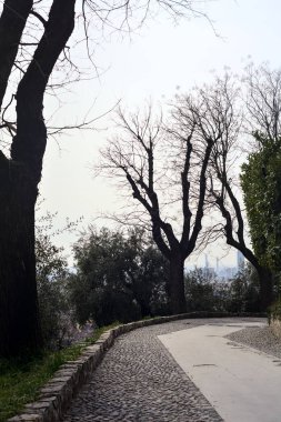 Bulutlu bir günde çıplak ağaçlarla çevrili bir parkın asfalt yolunda eğilin.