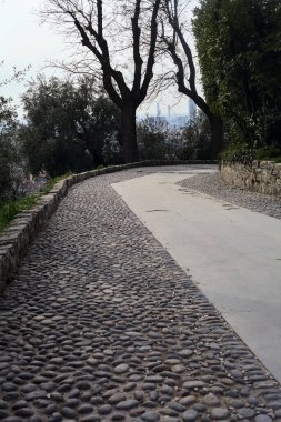 Bulutlu bir günde çıplak ağaçlarla çevrili bir parkın asfalt yolunda eğilin.