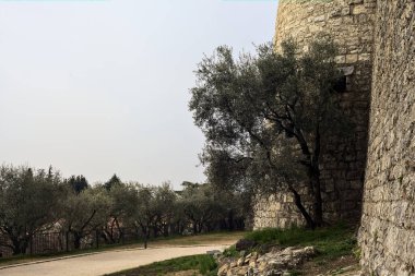 Bulutlu bir günde, bir kulenin yanında çakıl yolu ve yanında zeytin ağacı olan bir sınır duvarı.