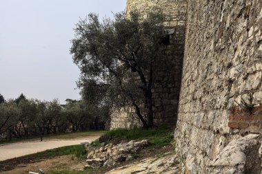 Bulutlu bir günde, bir kulenin yanında çakıl yolu ve yanında zeytin ağacı olan bir sınır duvarı.