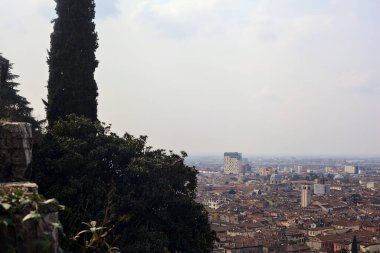 Ufuk çizgisine kadar uzanan şehir bulutlu bir günde ağaçlar ve çatılar tarafından çerçevelenmiş.