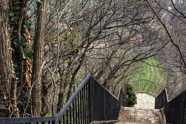 Bulutlu bir günde parktaki parmaklıklı merdiven.