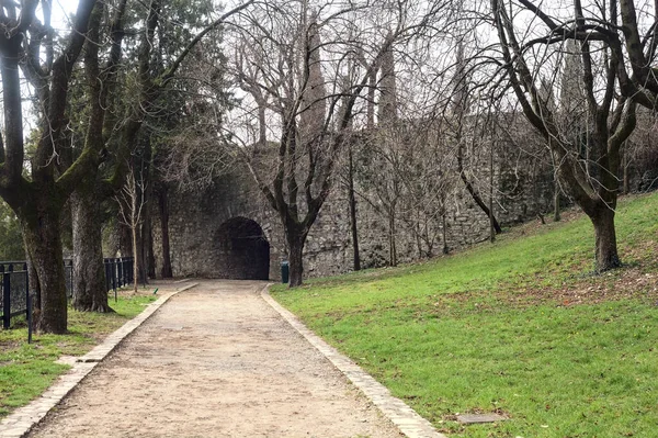 Chemin Gravier Côté Une Pelouse Arbres Dans Parc Par Une — Photo
