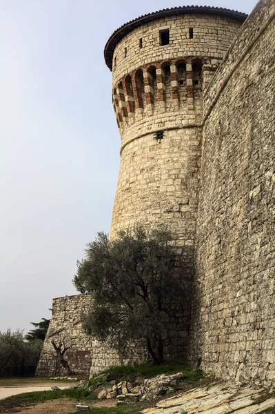 Bulutlu bir günde, bir kulenin yanında çakıl yolu ve yanında zeytin ağacı olan bir sınır duvarı.