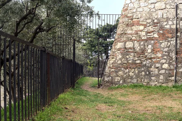 Puerta Barandillas Con Plantas Junto Muro Piedra Parque — Foto de Stock