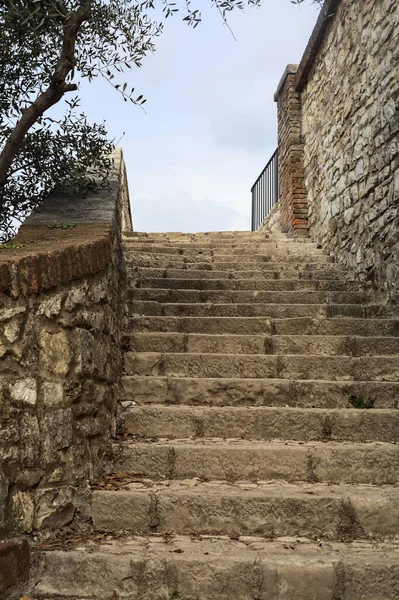 Bulutlu Bir Günde Parktaki Parmaklıklı Merdiven — Stok fotoğraf