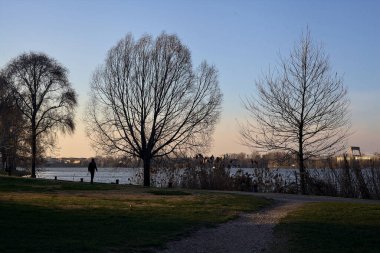 Gün batımında göl kıyısında bir parkta yol.