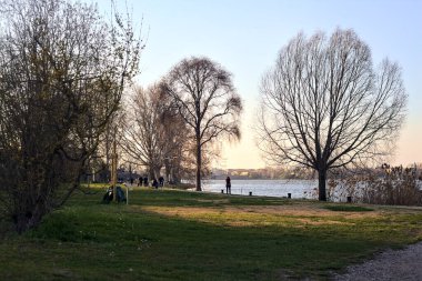 Gün batımında göl kıyısında bir parkta yol.