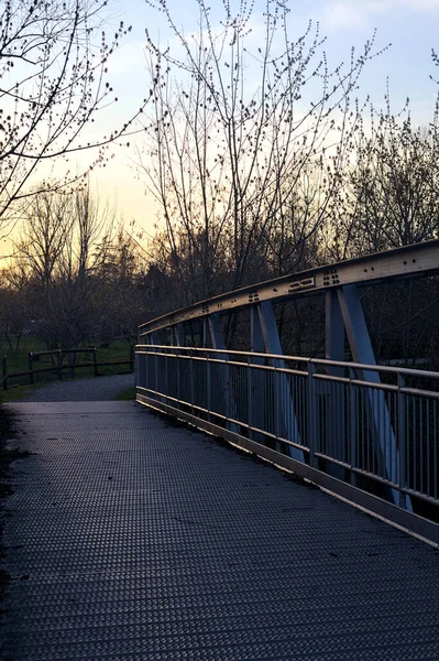 Pequena Ponte Ferro Parque Pôr Sol — Fotografia de Stock