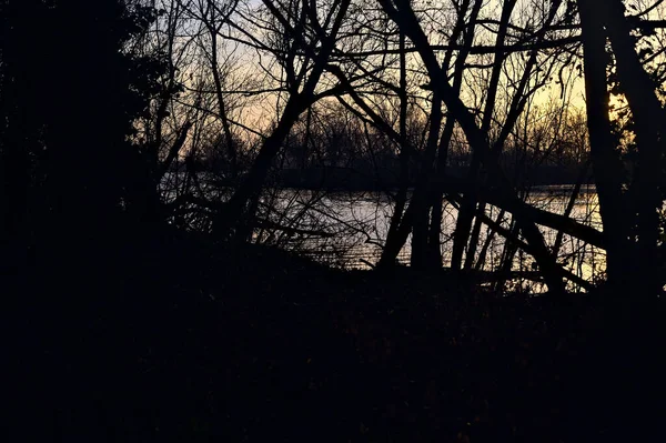 Озеро Лісі Під Час Заходу Сонця Яке Можна Побачити Крізь — стокове фото