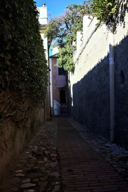 Güneşli bir günde, deniz kenarında bir tepede patika bir sokak.