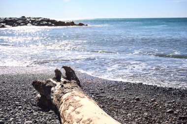Güneşli bir günde, çakıllı bir kumsalın kıyısında.