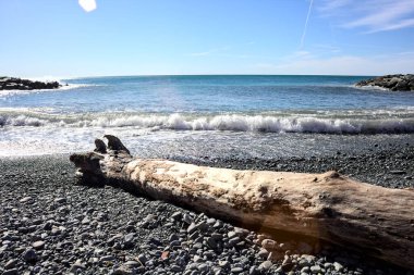 Güneşli bir günde, çakıllı bir kumsalın kıyısında.