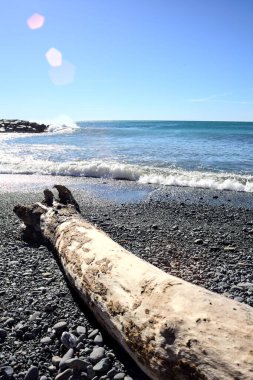 Güneşli bir günde, çakıllı bir kumsalın kıyısında.