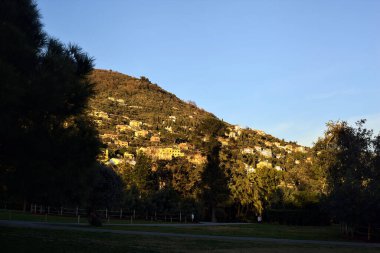 Alacakaranlıktaki bir parkın ağaçlarıyla çerçevelenmiş binaları olan dağ sırtı.