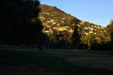 Alacakaranlıktaki bir parkın ağaçlarıyla çerçevelenmiş binaları olan dağ sırtı.