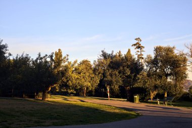 Alacakaranlıkta sahil kenarındaki bir parkta patika.