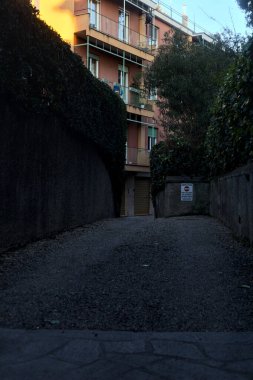 Gün batımında apartman dairesine ulaşmak için ağaçlarla çevrili gölgedeki yol.