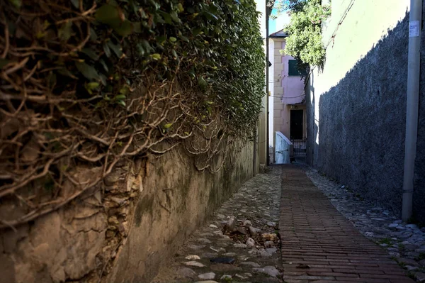 Cobbled Alley Town Hill Sunny Day Seaside — Stock Photo, Image