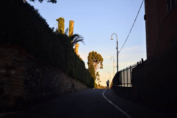 山坡上的街道 在暮色的暮色中见过的一座座高楼的树篱 — 图库照片