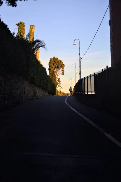 Calle Una Colina Bordeada Por Setos Mansiones Vistas Crepúsculo — Foto de Stock