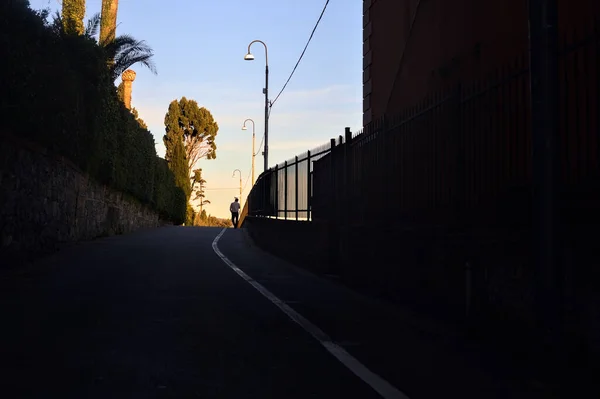 Calle Una Colina Bordeada Por Setos Mansiones Vistas Crepúsculo — Foto de Stock