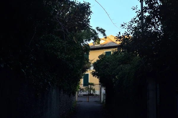 夕阳西下 绿树成荫的小路成了进入公寓楼的通道 — 图库照片
