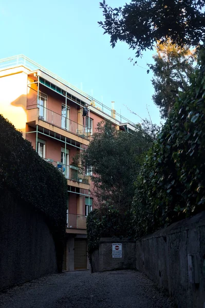 stock image Path in the shade bordered by trees as access to a condominium at sunset