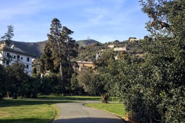 Gün batımında ağaçlar ve çitlerle çevrili bir patika.