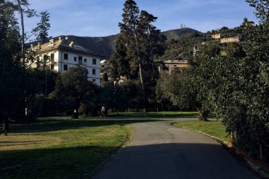 Gün batımında ağaçlar ve çitlerle çevrili bir patika.