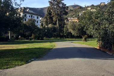 Gün batımında ağaçlar ve çitlerle çevrili bir patika.