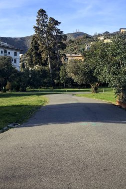 Gün batımında ağaçlar ve çitlerle çevrili bir patika.