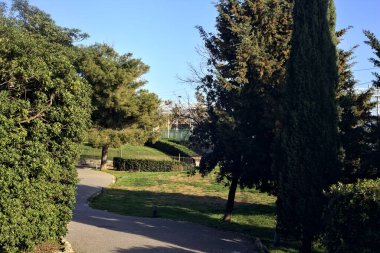 Gün batımında ağaçlar ve çitlerle çevrili bir patika.