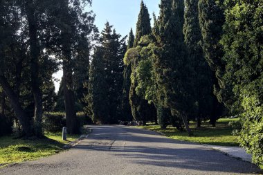 Gün batımında ağaçlar ve çitlerle çevrili bir patika.