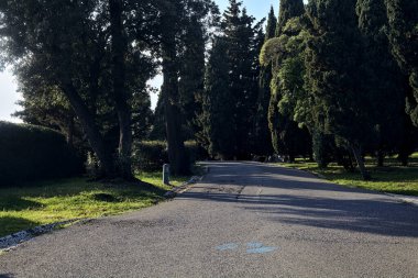 Gün batımında ağaçlar ve çitlerle çevrili bir patika.