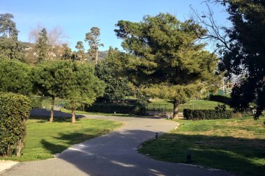 Gün batımında ağaçlar ve çitlerle çevrili bir patika.