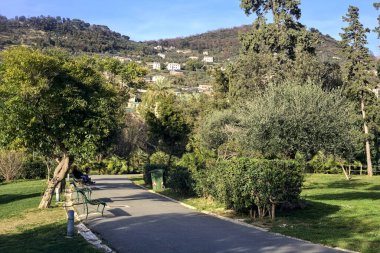 Gün batımında ağaçlar ve çitlerle çevrili bir patika.