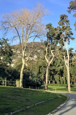 Gün batımında ağaçlar ve çitlerle çevrili bir patika.