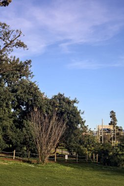 Gün batımında deniz kenarındaki demiryolunun yanındaki parkta.