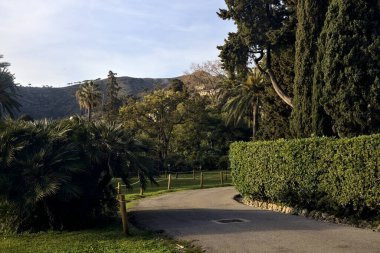 Gün batımında ağaçlar ve çitlerle çevrili bir patika.